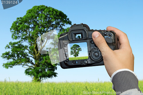 Image of landscape photography