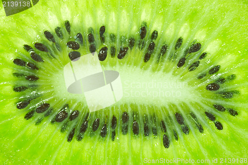 Image of closeup of kiwi as a background 