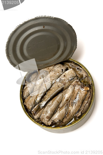 Image of Sprat fish