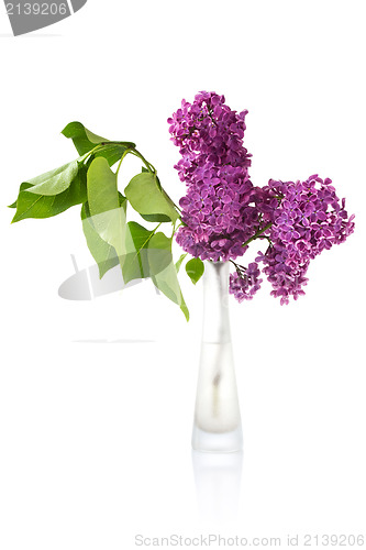 Image of bouquet of wet lilac in a glass vase