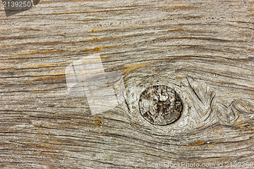 Image of Very old wood texture