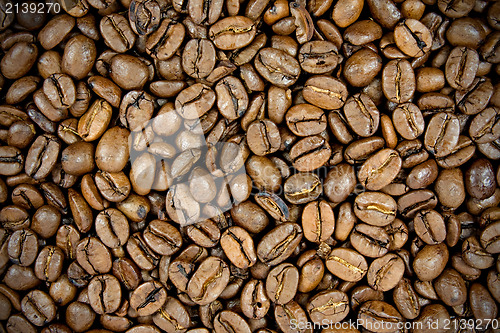 Image of roasted coffee beans