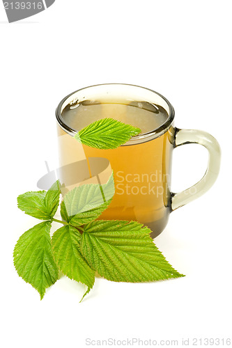 Image of cup of green tea