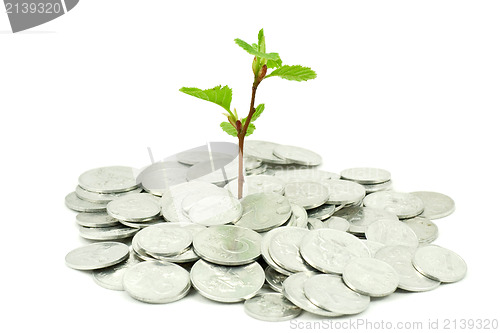 Image of financial growth concept