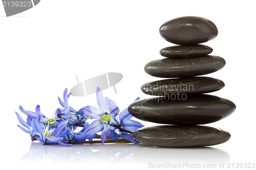 Image of black stones and  blue  flowers 