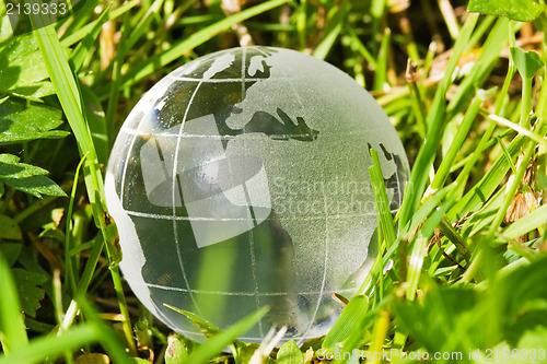 Image of glass globe in the grass 