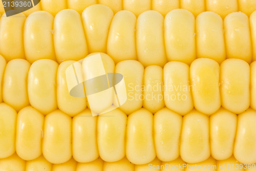 Image of background of yellow sweet corn