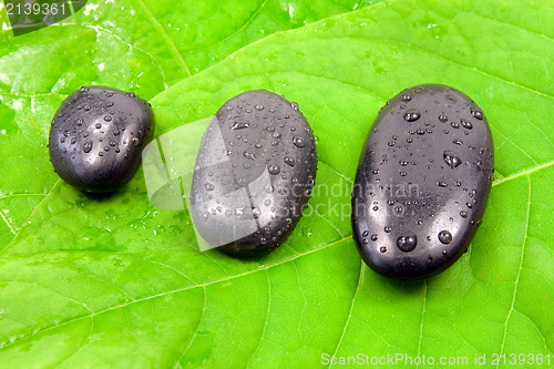 Image of  stones on the green leaves