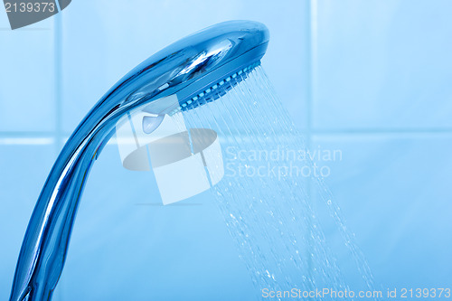 Image of Shower head with water stream