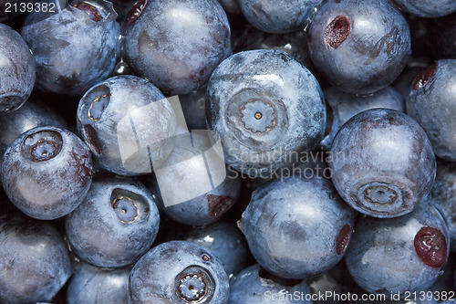 Image of blueberries background