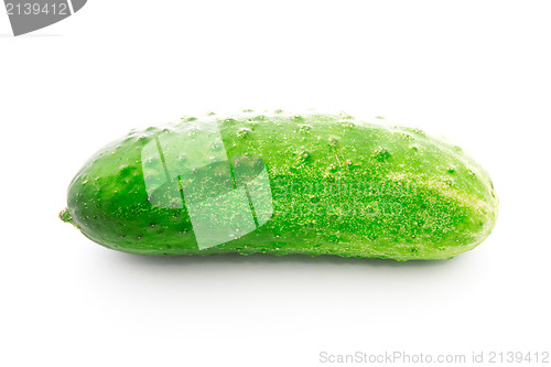 Image of green cucumber