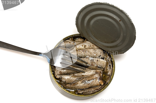 Image of fish in oil