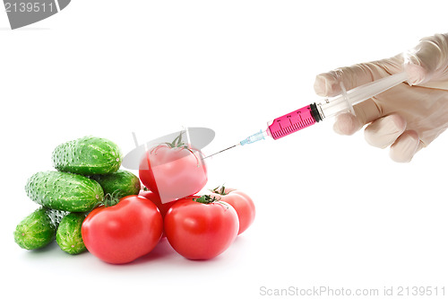 Image of Scientist injecting GMO into the tomato