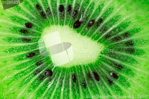 Image of kiwi fruit close-up