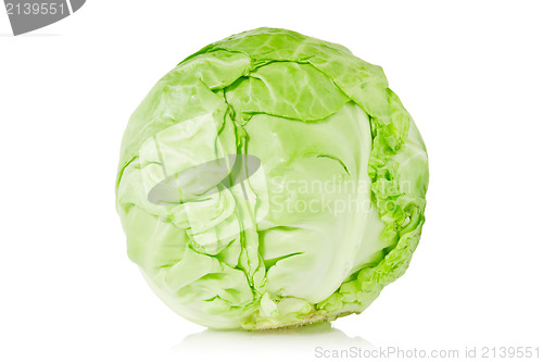 Image of green organic cabbage 