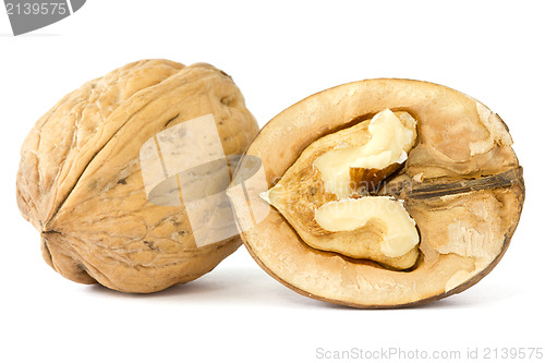 Image of walnuts on white background