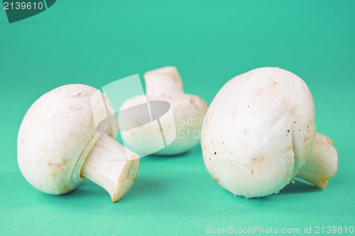 Image of champignon mushrooms on the blue background 