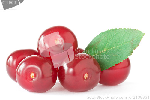 Image of cherries with a green leaf