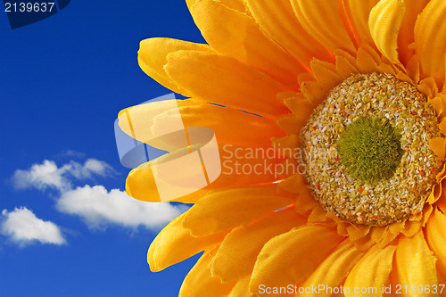 Image of flower on blue sky background
