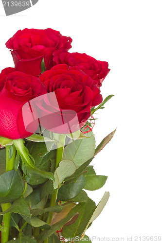 Image of Bouquet of red roses with copy-space