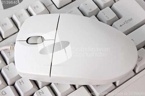 Image of  computer keyboard and the mouse