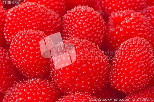 Image of freshly picked ripe red raspberries