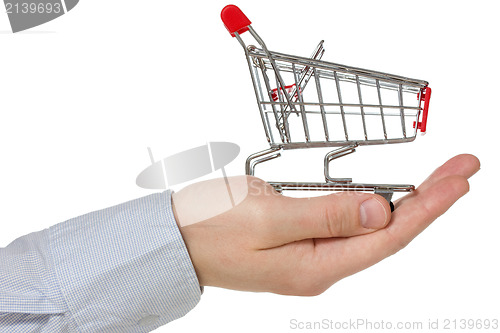 Image of Hand holding shopping cart