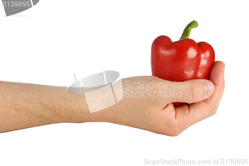 Image of hand with a sweet pepper