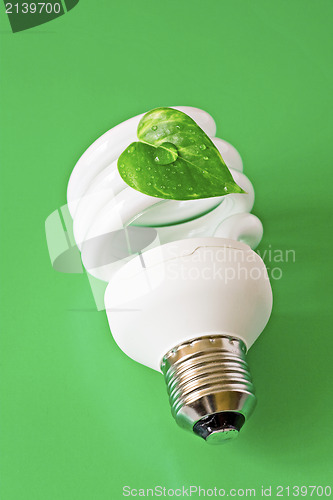Image of Energy saving lightbulb on green background