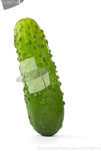 Image of image of a green cucumber 