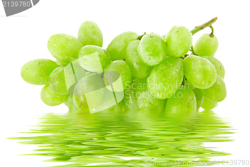Image of fresh green grapes with water reflection