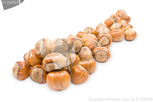 Image of pile of hazelnuts