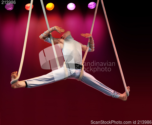 Image of Acrobat