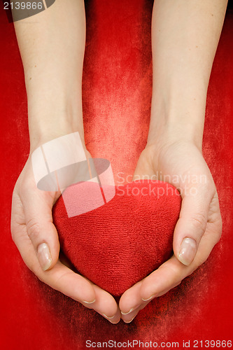 Image of hands with heart