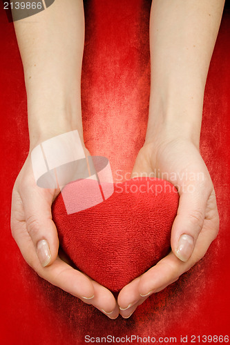 Image of hands with heart