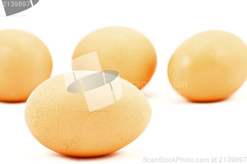 Image of eggs on white background