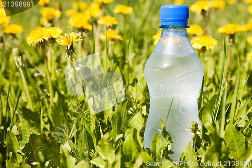 Image of water bottle in a summer meadow