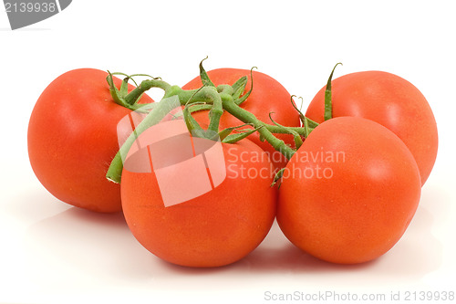 Image of tomatoes bunch on white background