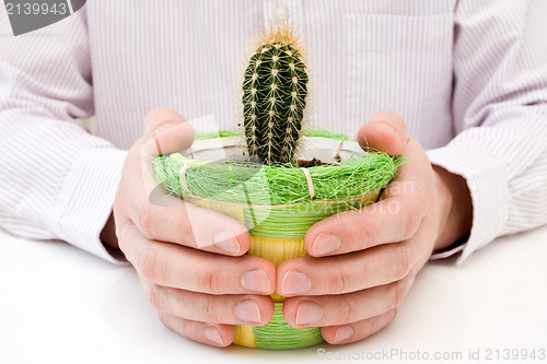 Image of hands holding pot with cactus