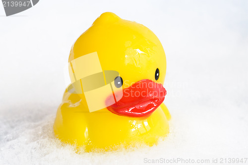 Image of  bath duckling in a foam