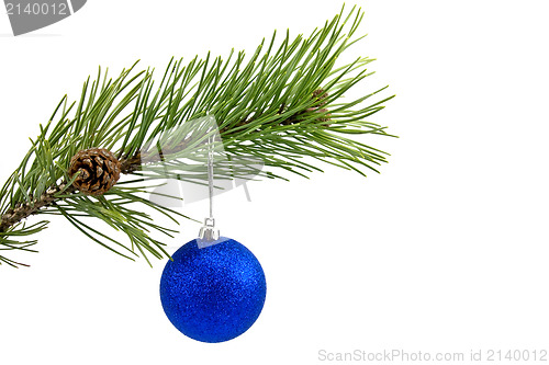 Image of branch with blue bauble