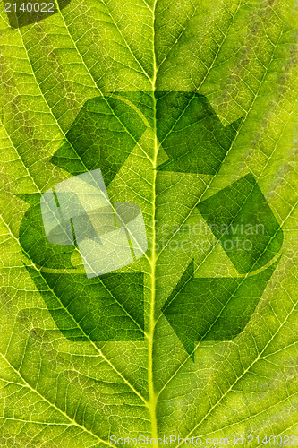 Image of ecological recycling concept