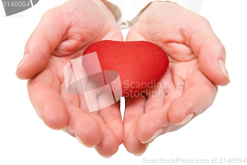 Image of red heart in a woman hands