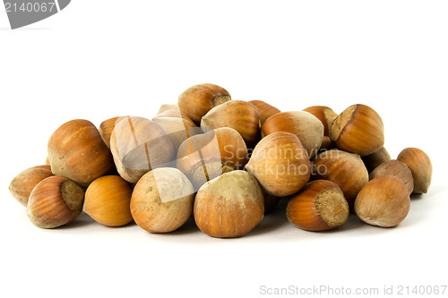 Image of  hazelnuts on the white background