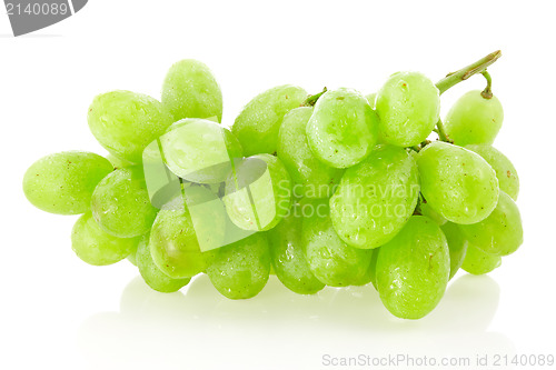 Image of Fresh green grapes