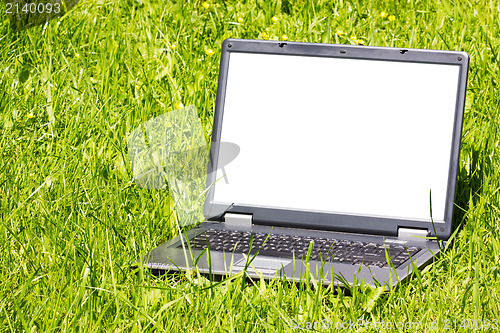 Image of laptop on the grass