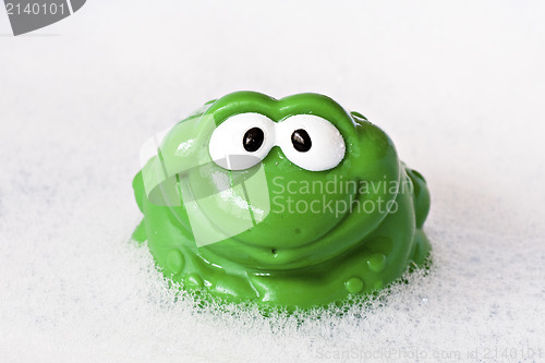 Image of frog in a bath foam