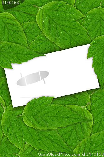 Image of leaves background with "copy-space"