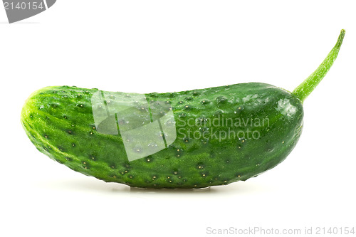 Image of green cucumber