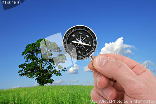 Image of hand with compass on nature background